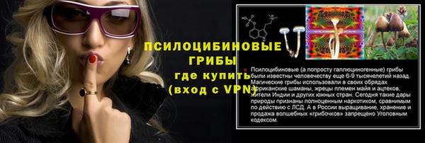 молекула духа Магас