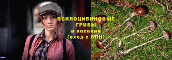 молекула духа Магас