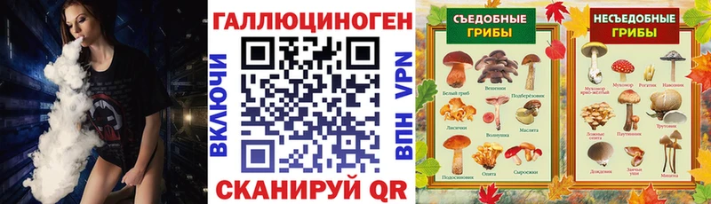 купить наркоту  блэк спрут зеркало  нарко площадка официальный сайт  Коломна  Псилоцибиновые грибы GOLDEN TEACHER 