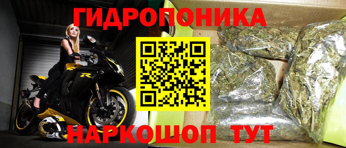 Каннабис план Коломна